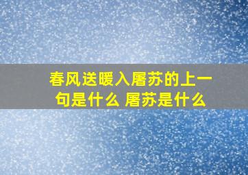 春风送暖入屠苏的上一句是什么 屠苏是什么